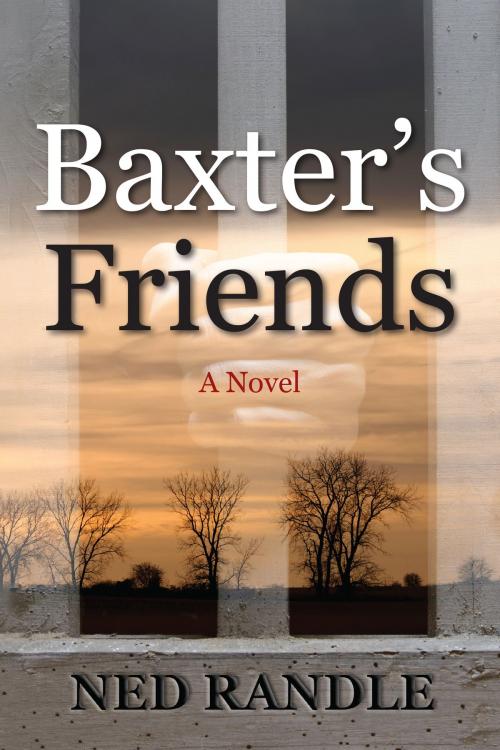 Cover of the book Baxter's Friends by Ned Randle, Coffeetown Press