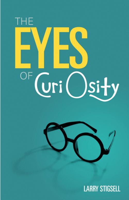 Cover of the book The Eyes of Curi Osity by Larry Stigsell, FastPencil, Inc.