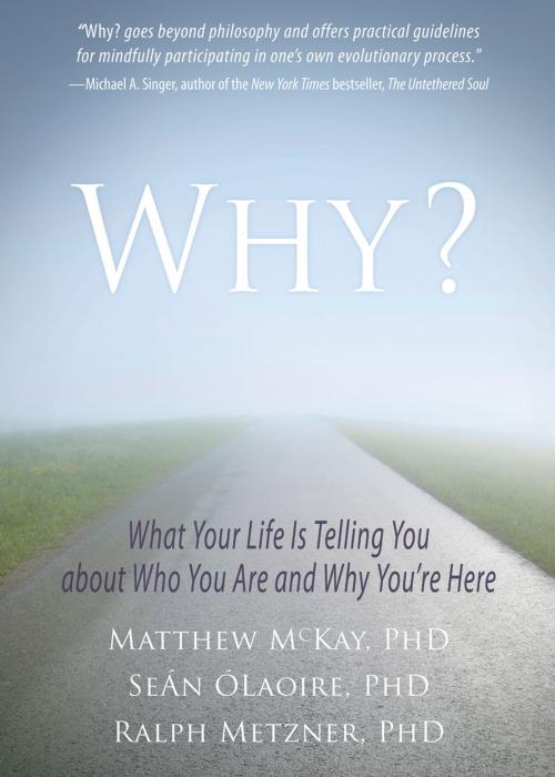 Cover of the book Why? by Seán ÓLaoire, PhD, Ralph Metzner, PhD, Matthew McKay, PhD, New Harbinger Publications