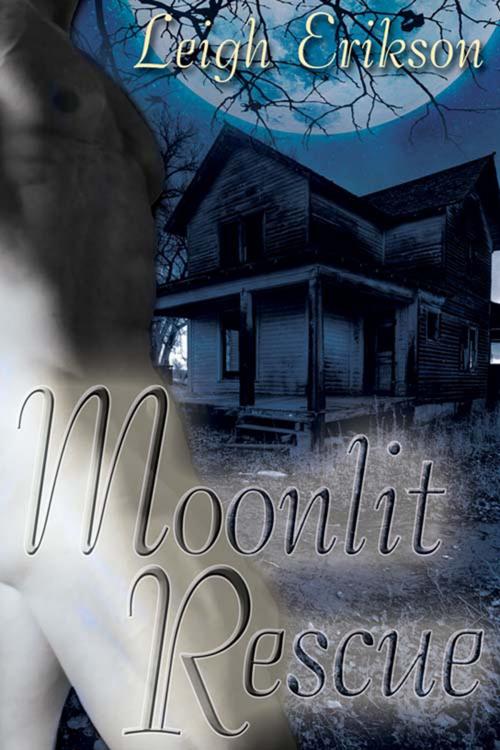 Cover of the book Moonlit Rescue by Leigh Erikson, The Wild Rose Press, Inc.