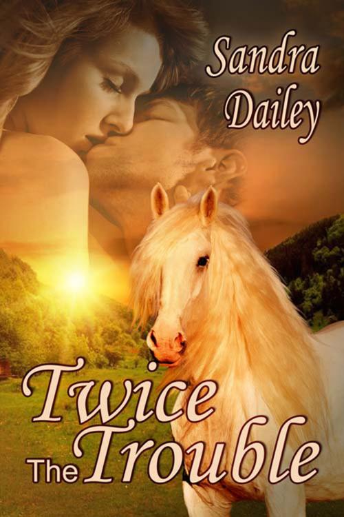 Cover of the book Twice the Trouble by Sandra  Dailey, The Wild Rose Press, Inc.