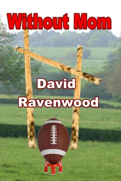 Cover of the book Without Mom by David Ravenwood, Write Words Inc.