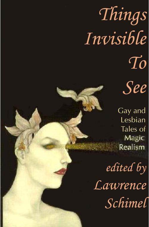 Cover of the book Things Invisible to See: Lesbian and Gay Tales of Magic Realism by Lawrence Schimel, Circlet Press