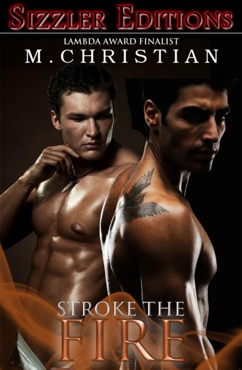 Cover of the book STROKE THE FIRE by M.CHRISTIAN, Reanissance E-Books, Inc.