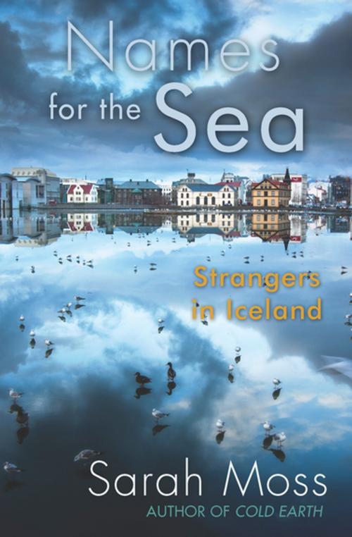 Cover of the book Names for the Sea by Sarah Moss, Counterpoint Press