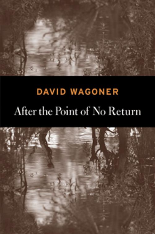 Cover of the book After the Point of No Return by David Wagoner, Copper Canyon Press