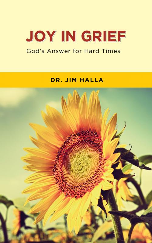 Cover of the book Joy in Grief by Dr. Jim Halla, Ambassador International
