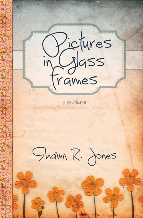 Cover of the book Pictures in Glass Frames by Shawn R. Jones, Ambassador International