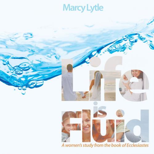 Cover of the book Life is Fluid by Marcy Lytle, Ambassador International