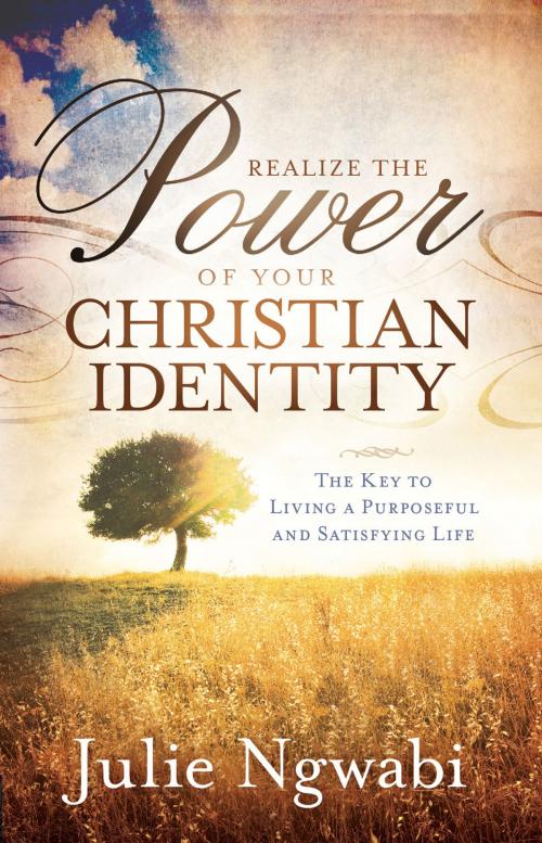 Cover of the book Realize the Power of Your Christian Identity by Julie Ngwabi, Charisma House