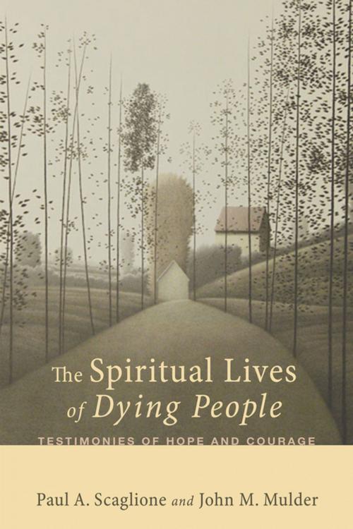 Cover of the book The Spiritual Lives of Dying People by Paul A. Scaglione, John M. Mulder, Wipf and Stock Publishers