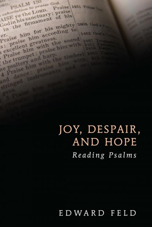Cover of the book Joy, Despair, and Hope by Edward Feld, Wipf and Stock Publishers