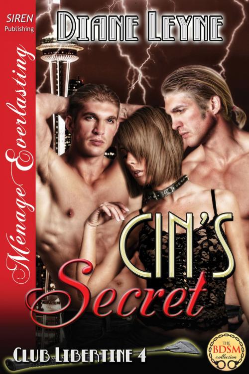 Cover of the book Cin's Secret by Diane Leyne, Siren-BookStrand