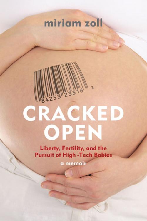 Cover of the book Cracked Open by Miriam Zoll, Interlink Publishing