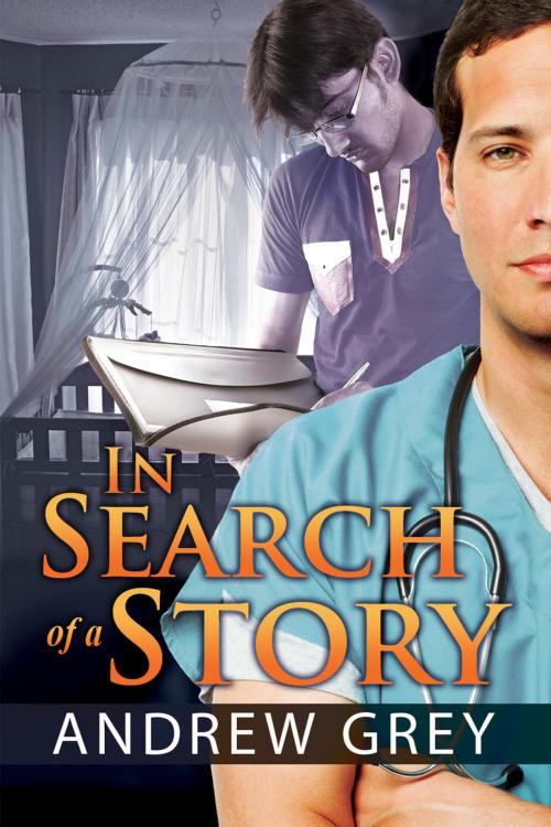 Cover of the book In Search of a Story by Andrew Grey, Dreamspinner Press