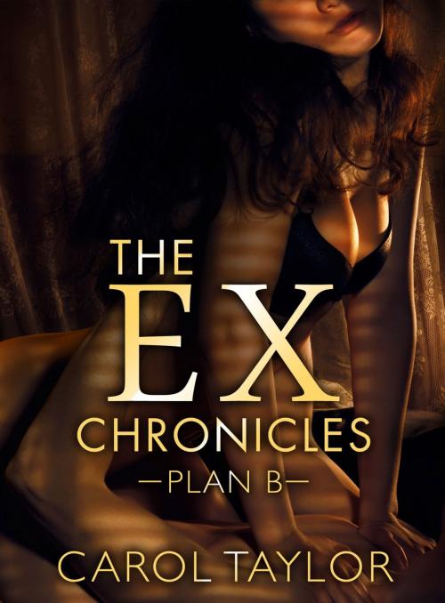Cover of the book The Ex-Chronicles: Plan B by Carol Taylor, Insatiable Press Limited