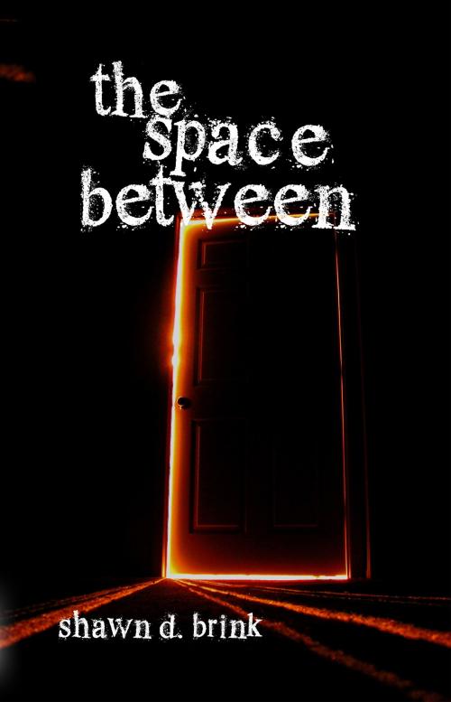 Cover of the book The Space Between by Shawn D. Brink, Martin Sisters Publishing