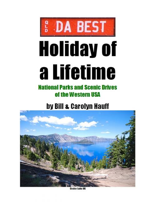 Cover of the book DA BEST Holiday of a Lifetime by BILL and CAROLYN HAUFF, Publish Green