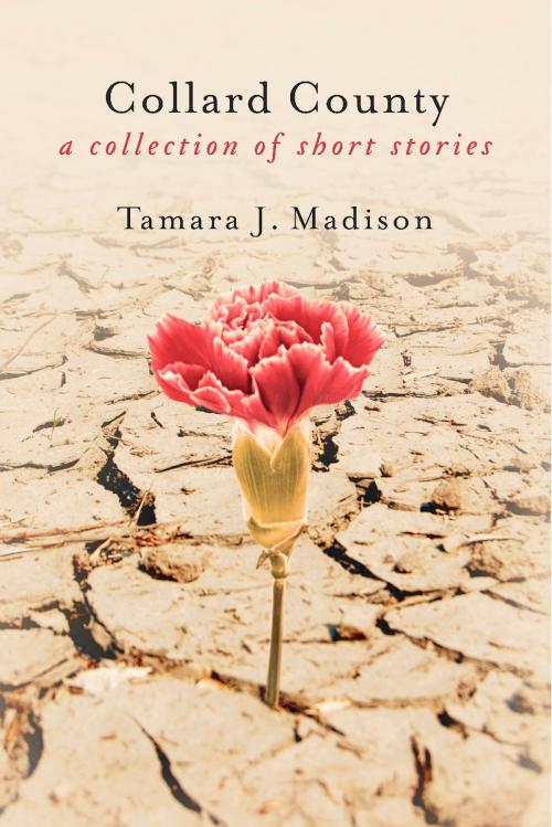 Cover of the book Collard County by Tamara J. Madison, BookBaby