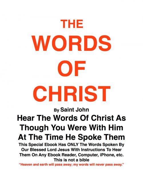 Cover of the book THE WORDS OF CHRIST By St JOHN by Joe Procopio, BookBaby