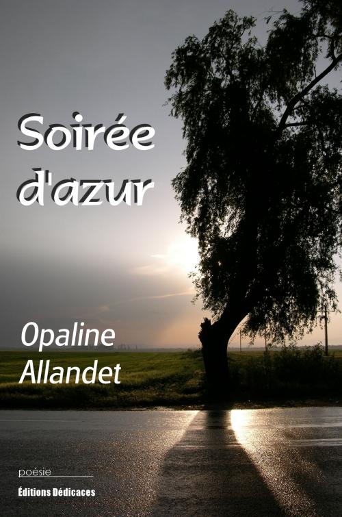 Cover of the book Soirée d'azur by Opaline Allandet, Éditions Dédicaces