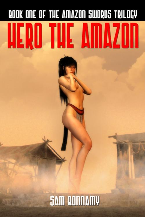 Cover of the book Hero The Amazon by Sam Bonnamy, Double Dragon Publishing