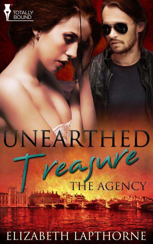 Cover of the book Unearthed Treasure by Elizabeth Lapthorne, Totally Entwined Group Ltd