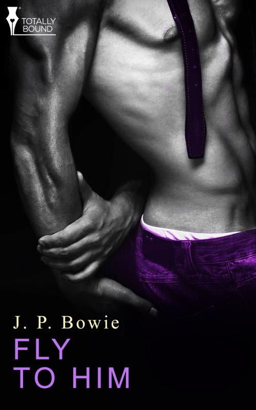Cover of the book Fly to Him by J.P. Bowie, Totally Entwined Group Ltd