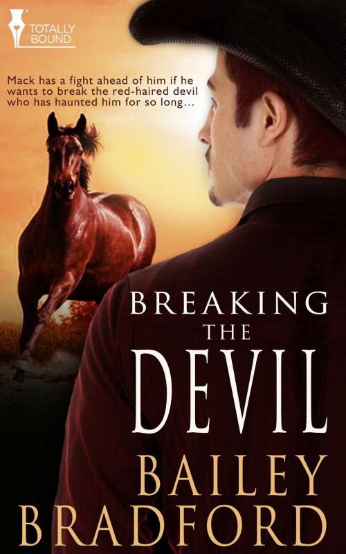Cover of the book Breaking the Devil by Bailey Bradford, Totally Entwined Group Ltd