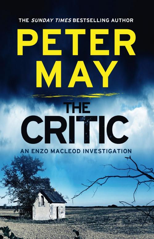 Cover of the book The Critic by Peter May, Quercus Publishing