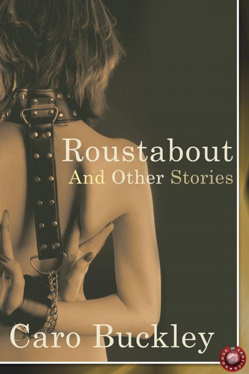 Cover of the book Roustabout and Other Stories by Caro Buckley, Andrews UK