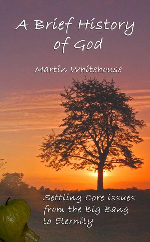 Cover of the book A Brief History of God by Martin Whitehouse, Martin Whitehouse