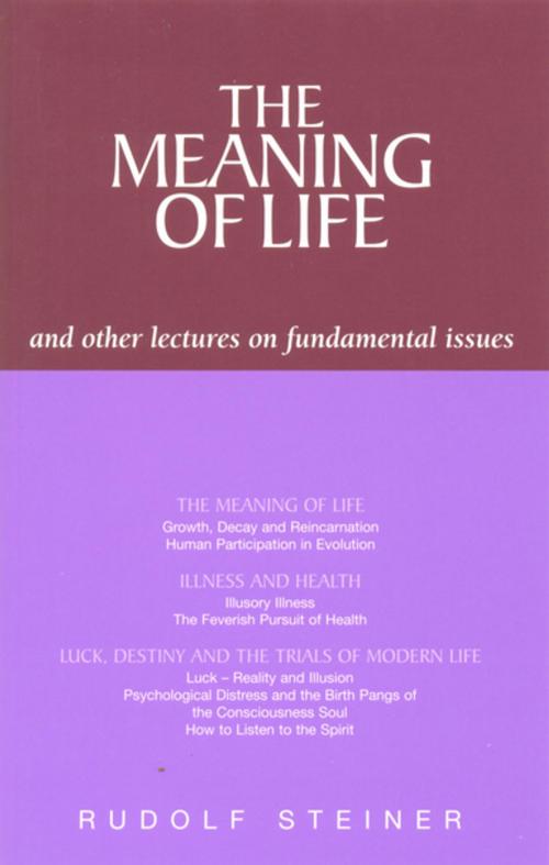 Cover of the book The Meaning of Life and Other Lectures on Fundamental Issues by Rudolf Steiner, Rudolf Steiner Press