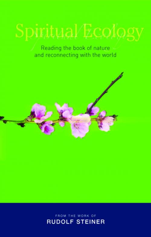 Cover of the book Spiritual Ecology by Rudolf Steiner, Rudolf Steiner Press