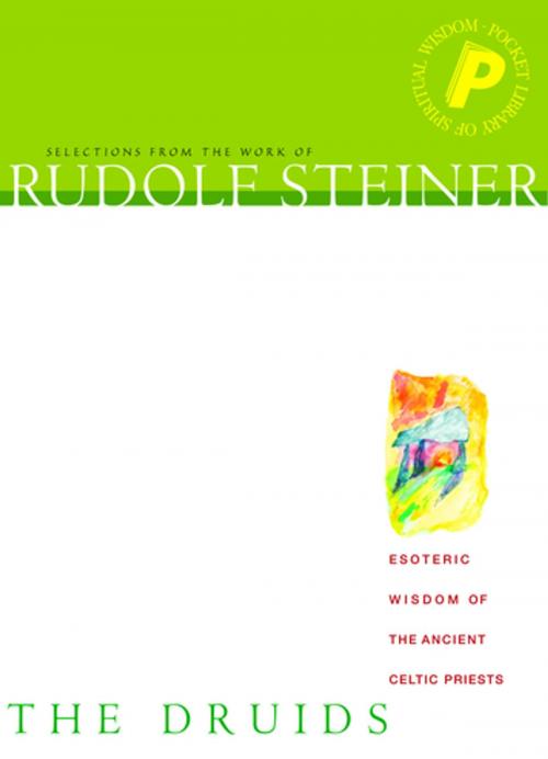 Cover of the book The Druids by Rudolf Steiner, Rudolf Steiner Press
