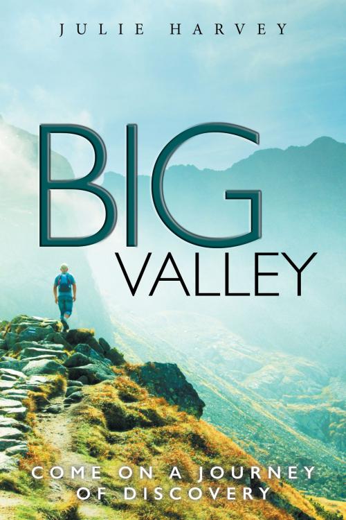 Cover of the book Big Valley by Julie Harvey, PublishDrive
