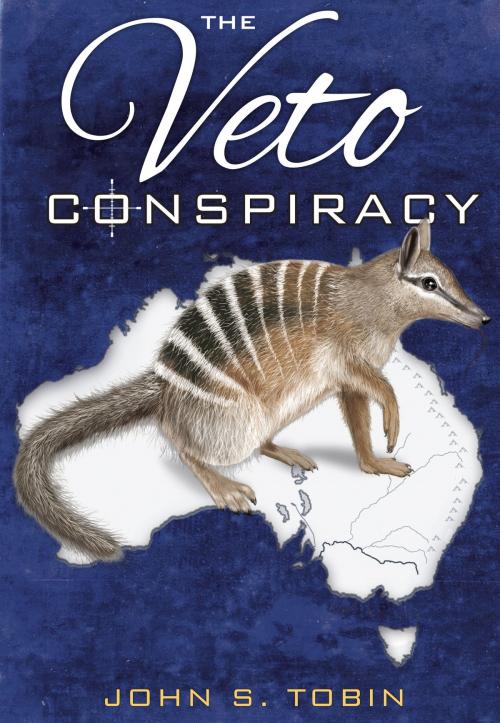 Cover of the book The Veto Conspiracy by John S. Tobin, Vivid Publishing