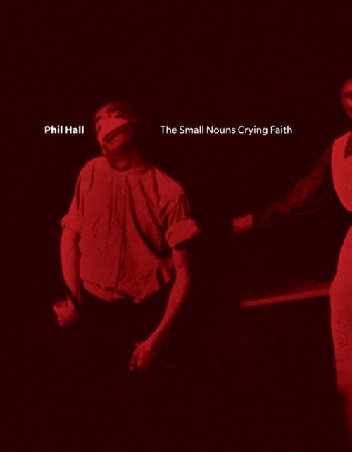 Cover of the book The Small Nouns Crying Faith by Phil Hall, BookThug