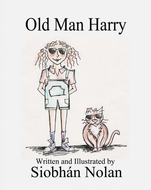 Cover of the book Old Man Harry by Siobhan Nolan, Second Wind Publishing, LLC