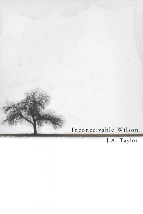 Cover of the book Inconceivable Wilson by Jason Tyler, Dzanc Books