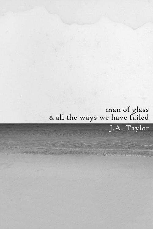 Cover of the book A Man of Glass & All the Ways We Have Failed by Jason Tyler, Dzanc Books