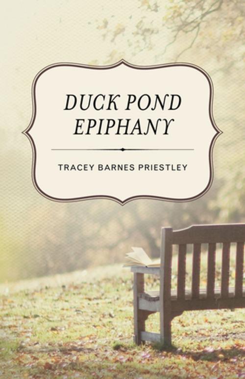 Cover of the book Duck Pond Epiphany by Tracey Barnes Priestley, She Writes Press