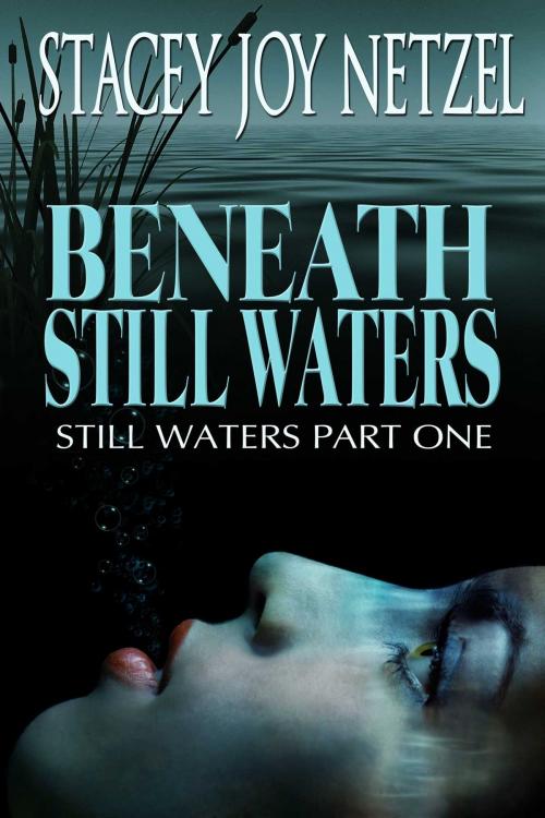 Cover of the book Beneath Still Waters by Stacey Joy Netzel, Stacey Joy Netzel