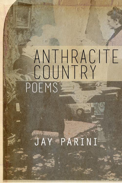 Cover of the book Anthracite Country by Jay Parini, Dzanc Books