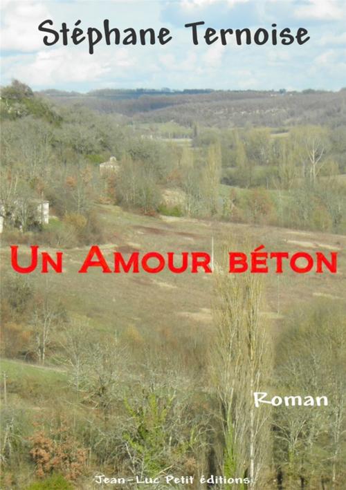 Cover of the book Un Amour béton by Stéphane Ternoise, Jean-Luc PETIT Editions