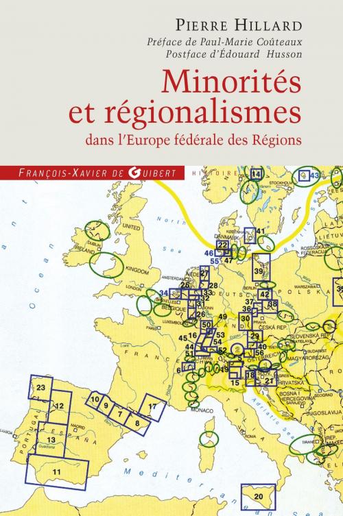 Cover of the book Minorités et régionalismes dans l'Europe fédérale des Régions by Pierre Hillard, Paul-Marie Couteaux, Francois-Xavier de Guibert
