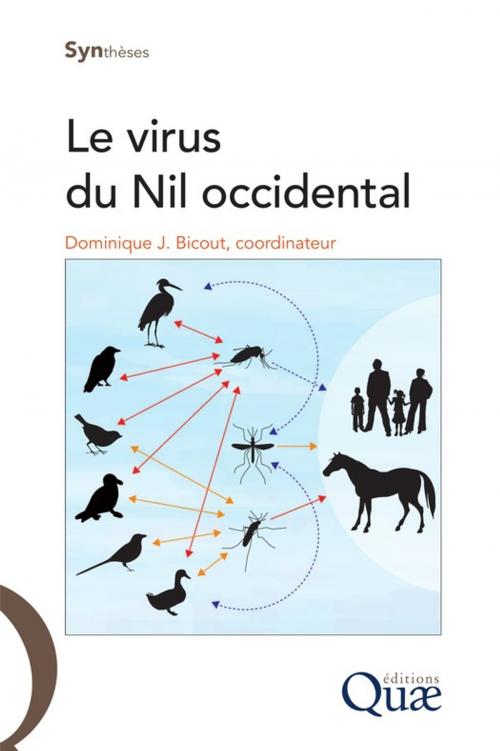 Cover of the book Le virus du Nil occidental by Bicout Dominique J., Quae