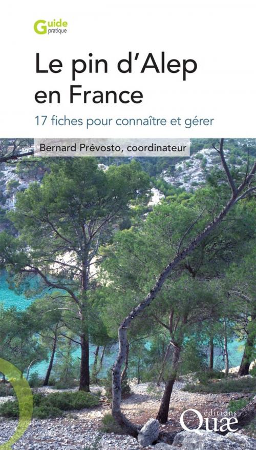 Cover of the book Le pin d'Alep en France by Prévosto Bernard, Quae