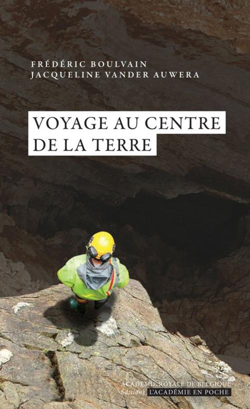 Cover of the book Voyage au centre de la Terre by Vander Auwera, Frédéric Boulvain, Académie royale de Belgique