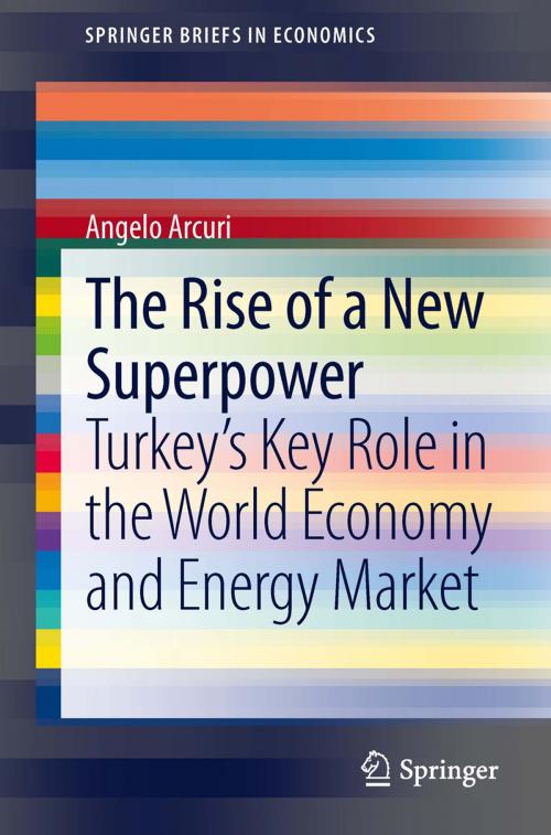 Cover of the book The Rise of a New Superpower by Angelo Arcuri, Springer International Publishing